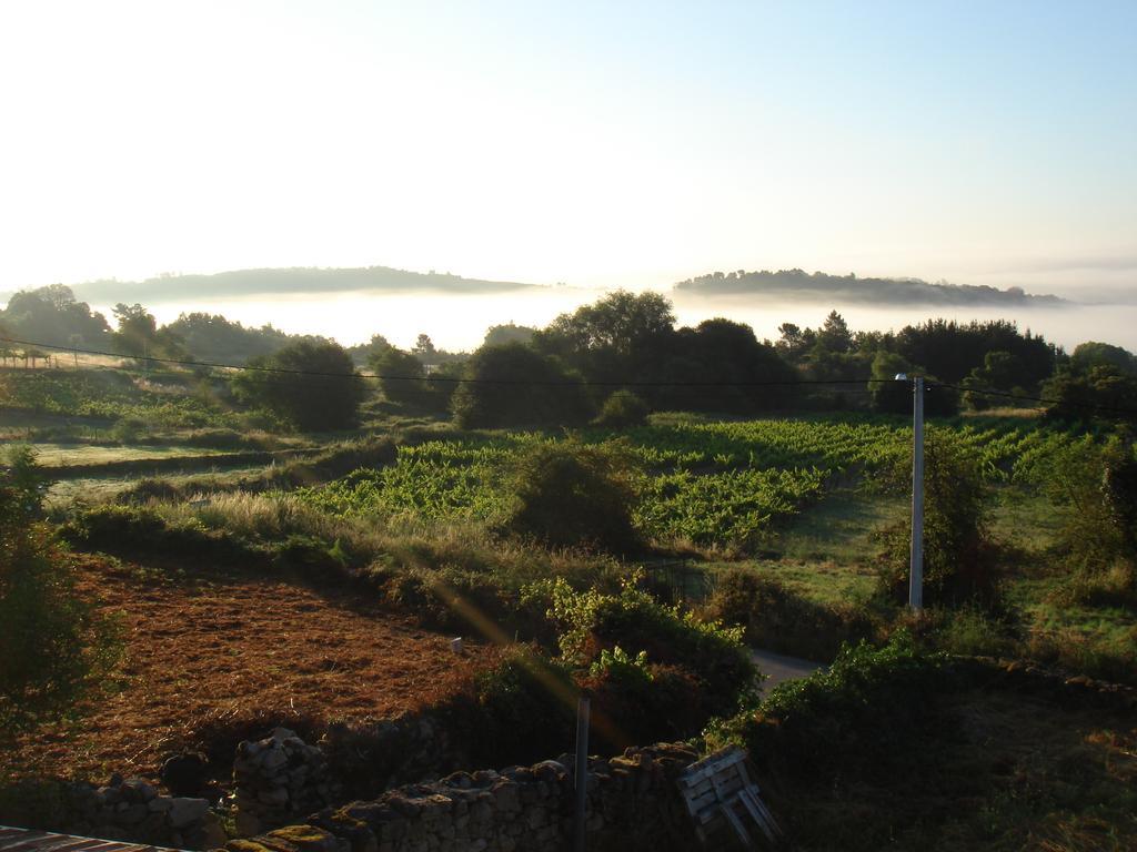 O Canto da Terra Pantón Quarto foto